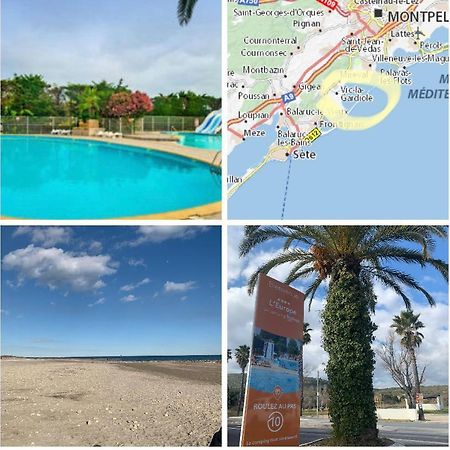 Camping L'Europe Ξενοδοχείο Vic-la-Gardiole Εξωτερικό φωτογραφία