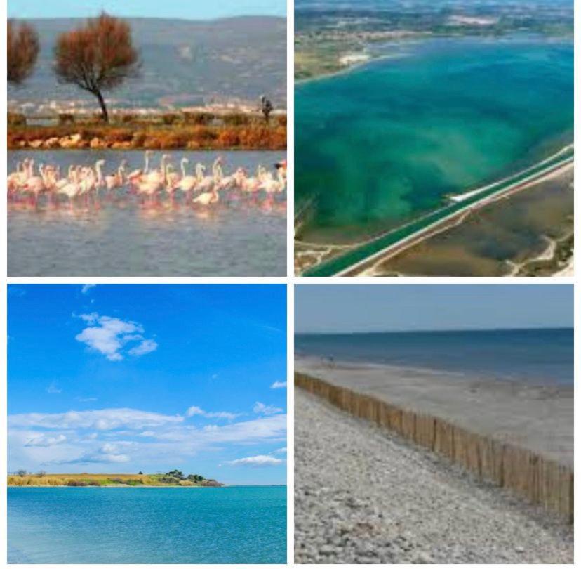 Camping L'Europe Ξενοδοχείο Vic-la-Gardiole Εξωτερικό φωτογραφία